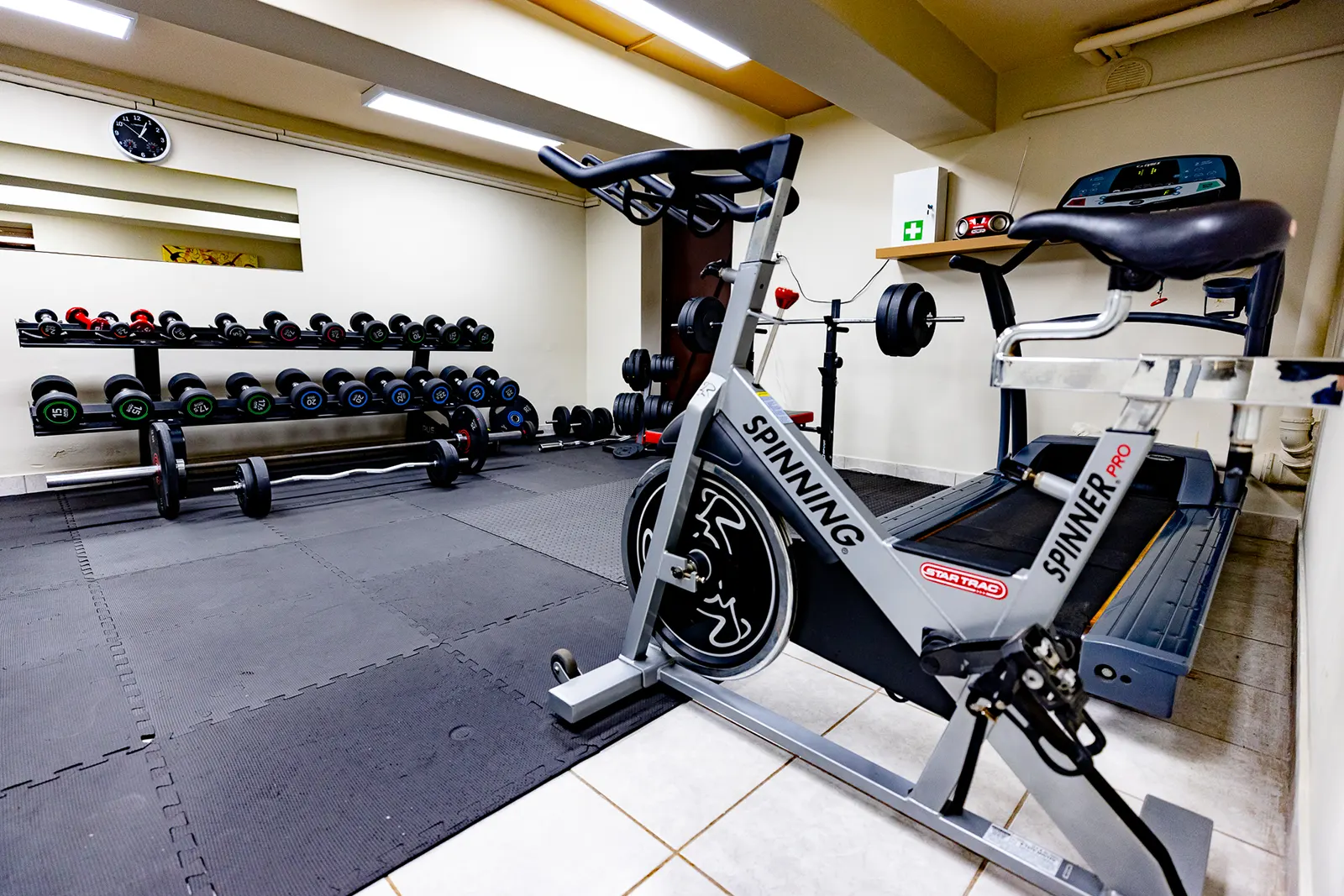 Galeria 5
